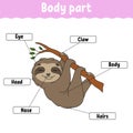 Body part. Learning words. Education developing worksheet. Activity page for study English. Game for children. Funny character. Royalty Free Stock Photo