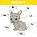 Body part. Learning words. Education developing worksheet. Activity page for study English. Game for children. Funny character. Royalty Free Stock Photo