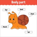 Body part. Learning words. Education developing worksheet. Activity page for study English. Game for children. Funny character. Royalty Free Stock Photo