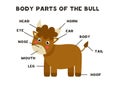 Body parts of the bull. Scheme for children.