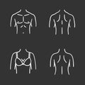 Body parts chalk icons set Royalty Free Stock Photo