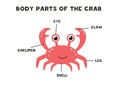 Body parts of the crab. Scheme for children