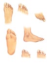 Body parts: feet