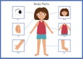 Body parts poster with a cute girl. Human body front view with a female character