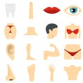 Body parts set flat icons Royalty Free Stock Photo