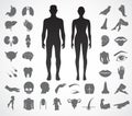 Body parts vector icon set. Royalty Free Stock Photo