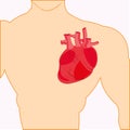 Body of the person and heart Royalty Free Stock Photo