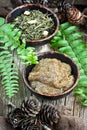 Body scrub - brown sugar with green tea Royalty Free Stock Photo
