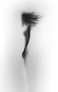 Body silhouette of a beautiful slim woman with long flying hair, abstract. Royalty Free Stock Photo