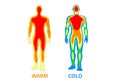 Body temperature, Vector, Human Body vector image for use Royalty Free Stock Photo