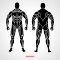 Body Type Endomorph. Front and back view. Vector illustration Royalty Free Stock Photo