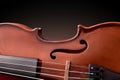 Body of a violin with black gradient background isolated Royalty Free Stock Photo