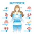 Body water as anatomical human organ fluid balance and usage outline concept Royalty Free Stock Photo