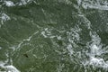 Abstract background-frothy green water viewed from above