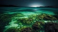 a body of water with rocks and algae growing on it