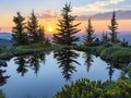 a body of water with trees and a sunset