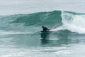 Bodyboarder surfing ocean wave