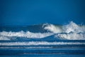 Bodyboarder surfing ocean wave