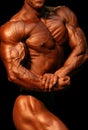 Bodybuilder Royalty Free Stock Photo