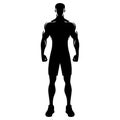 bodybuilder arm muscles isolated on a white background Royalty Free Stock Photo