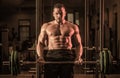 Bodybuilder athletic man with six pack, perfect abs, shoulders, biceps, triceps, chest. Muscular man workout with Royalty Free Stock Photo