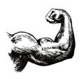 Bodybuilder biceps. Strong hand, symbol. Ink drawing.