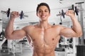 Bodybuilder bodybuilding muscles body builder building gym strong muscular young man dumbbells shoulder training Royalty Free Stock Photo