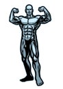 Bodybuilder flexing muscle pose