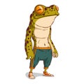 A Bodybuilder Frog, isolated vector illustration. Anthropomorphic frog guy in athletic shape standing topless