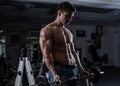 Bodybuilder in the gym