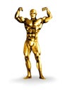 Bodybuilder Royalty Free Stock Photo