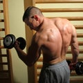 Bodybuilder lifting weights Royalty Free Stock Photo