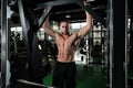 Bodybuilder Man Posing In The Gym Royalty Free Stock Photo