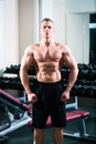 Bodybuilder posing in Gym Royalty Free Stock Photo