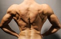 Bodybuilder's back