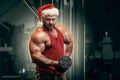 Bodybuilder in Santa Claus costume in gym