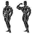 Bodybuilder showing his biceps, fitness concept, vector illustration Royalty Free Stock Photo