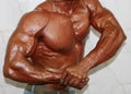 Body builder showing side chest pose.