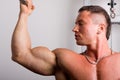 Bodybuilder training Royalty Free Stock Photo