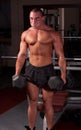 Bodybuilder training Royalty Free Stock Photo