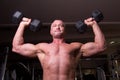 Bodybuilder training Royalty Free Stock Photo