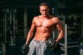 Bodybuilder training with dumbbells. Sportsman with naked torso. Sporty workout. Athletic body.