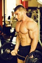 Bodybuilder training gym Royalty Free Stock Photo