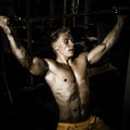 Bodybuilder training in the gym Royalty Free Stock Photo