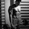 Bodybuilder training with weights Royalty Free Stock Photo