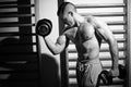 Bodybuilder training with weights Royalty Free Stock Photo