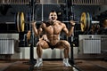 Bodybuilder Royalty Free Stock Photo