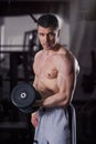 Bodybuilder workout with dumbbells in gym, perfect muscular male body Royalty Free Stock Photo