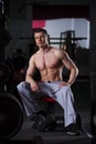 Bodybuilder workout with dumbbells in gym, perfect muscular male body Royalty Free Stock Photo