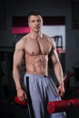 Bodybuilder workout in gym, perfect muscular male body Royalty Free Stock Photo